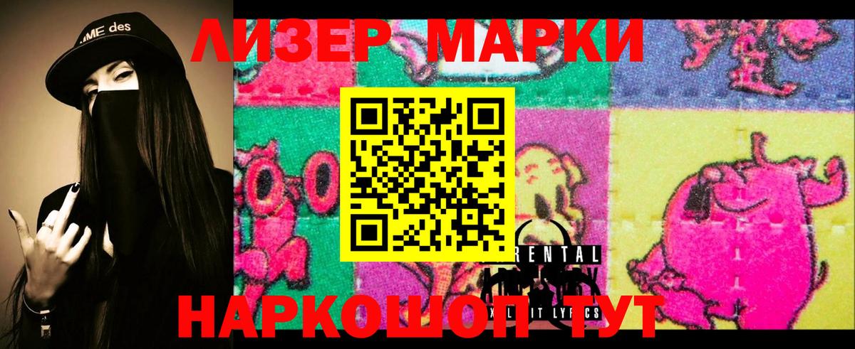Волхов  ЛСД экстази ecstasy  Вход с VPN 