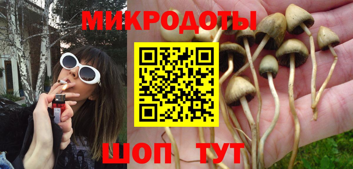 Псилоцибиновые грибы MAGIC MUSHROOMS  Вход с VPN  Волхов 