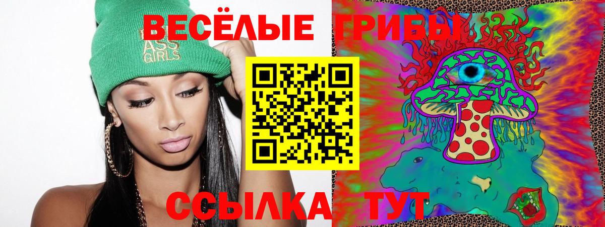 Псилоцибиновые грибы прущие грибы Волхов